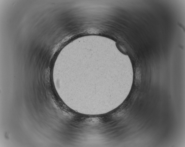 X0000103470492200810241017