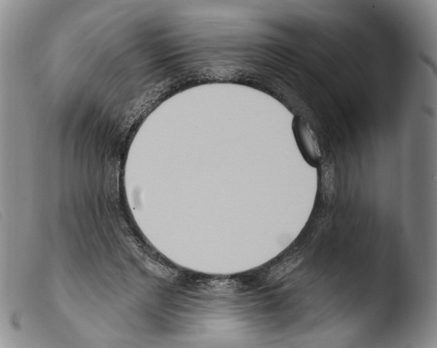 X0000103470493200810241017