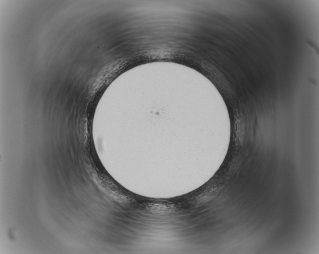 X0000103470494200810241017