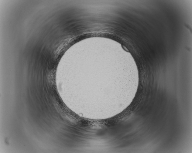 X0000103470495200810241017