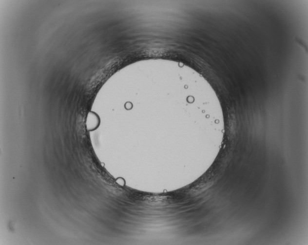 X0000103470497200810241017