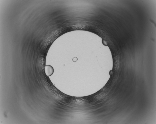 X0000103470498200810241017