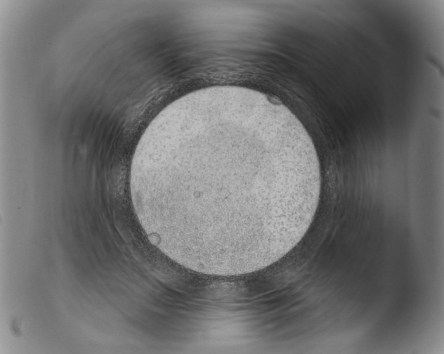 X0000103470499200810241017