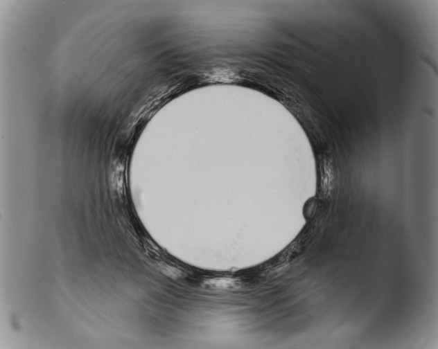 X0000103470503200810241017