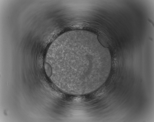 X0000103470504200810241017
