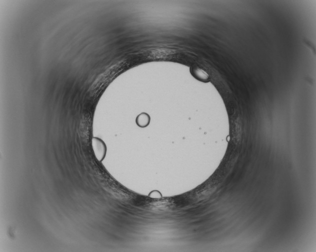 X0000103470505200810241017