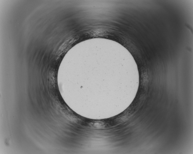 X0000103470506200810241017