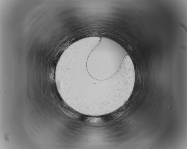 X0000103470507200810241017