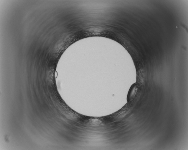 X0000103470509200810241017