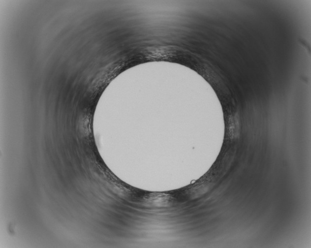 X0000103470514200810241017