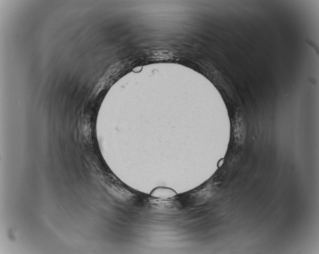 X0000103470516200810241017