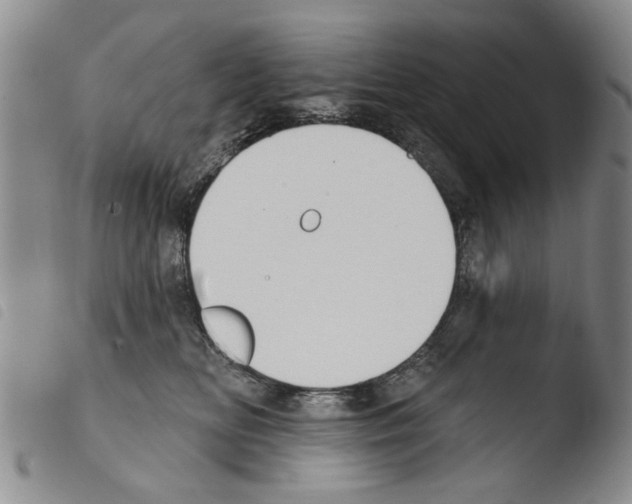 X0000103470518200810241017