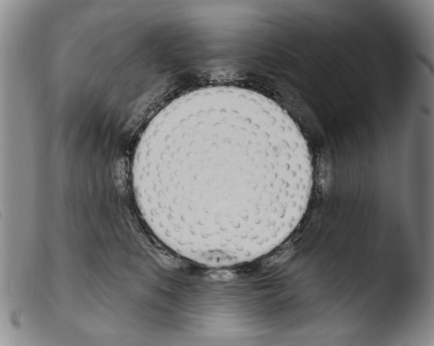 X0000103470519200810241017