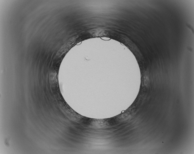 X0000103470521200810241017