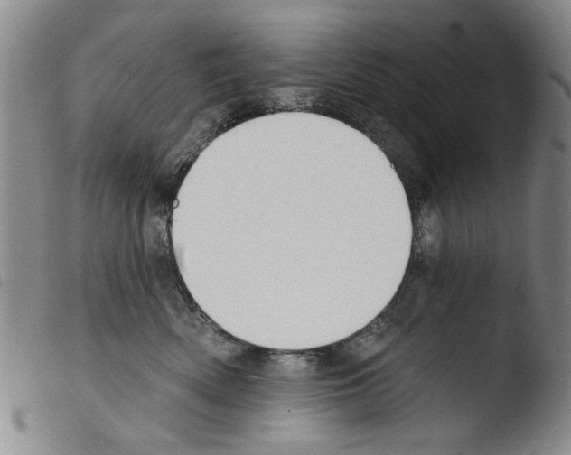 X0000103470522200810241017