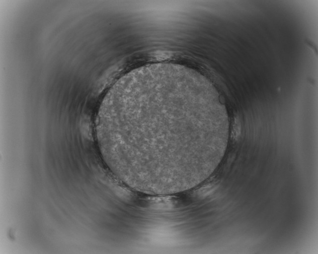 X0000103470524200810241017