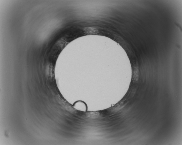 X0000103470525200810241017
