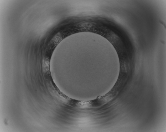 X0000103470526200810241017