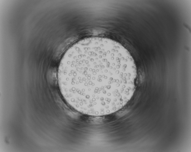 X0000103470527200810241017