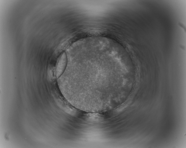 X0000103470528200810241017