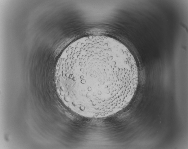 X0000103470529200810241016