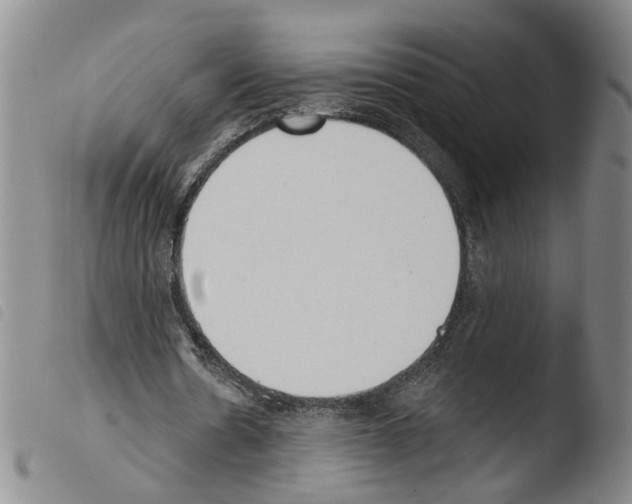 X0000103470530200810241016