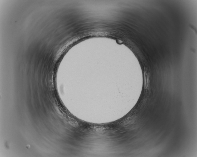 X0000103470531200810241016