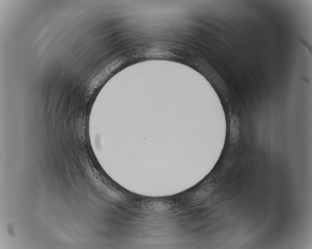 X0000103470533200810241016