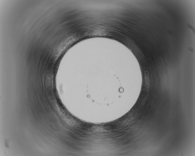 X0000103470534200810241016