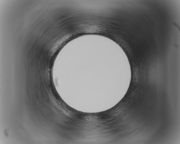 X0000103470535200810241016