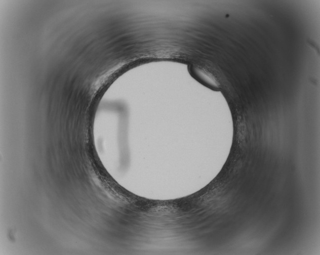X0000103470536200810241016