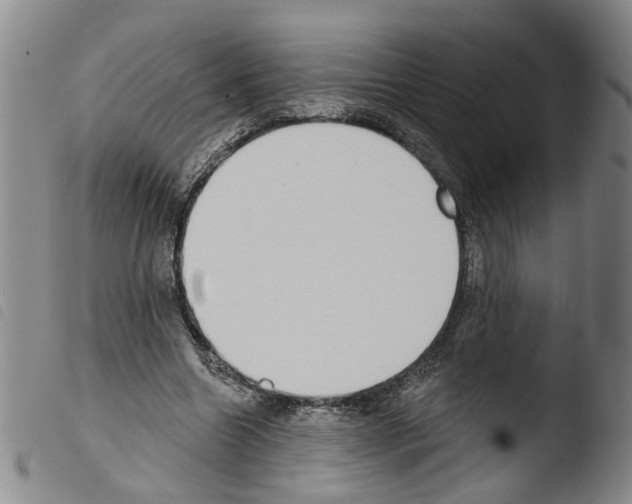 X0000103470538200810241016