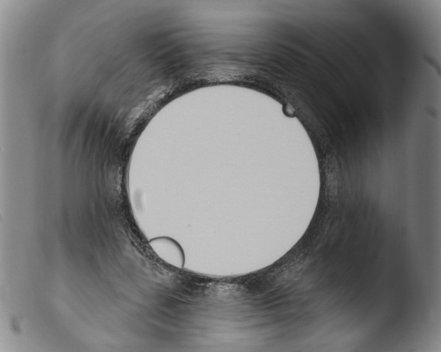 X0000103470539200810241016