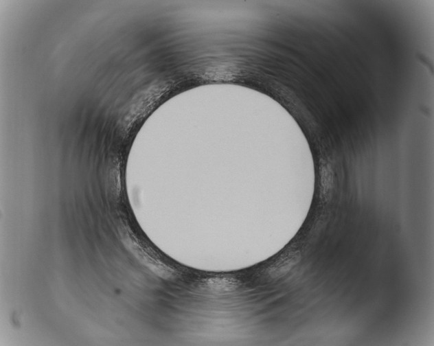 X0000103470541200810241016