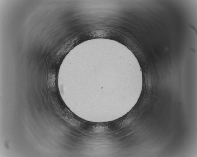 X0000103470549200810241016