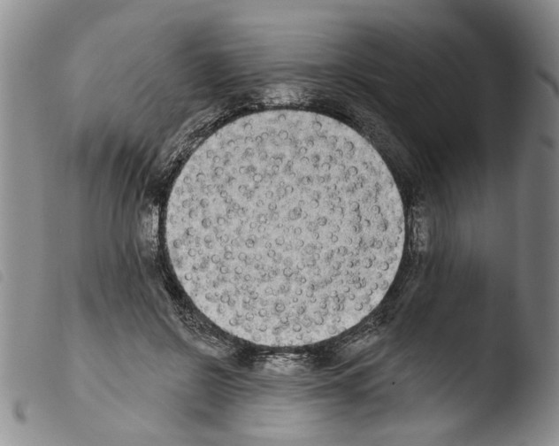 X0000103470550200810241016