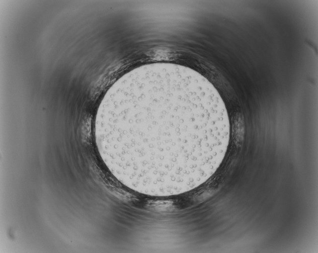 X0000103470554200810241016