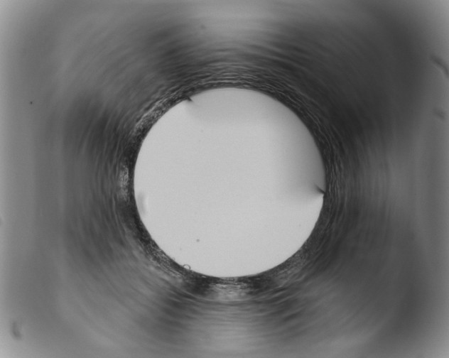 X0000103470556200810241016