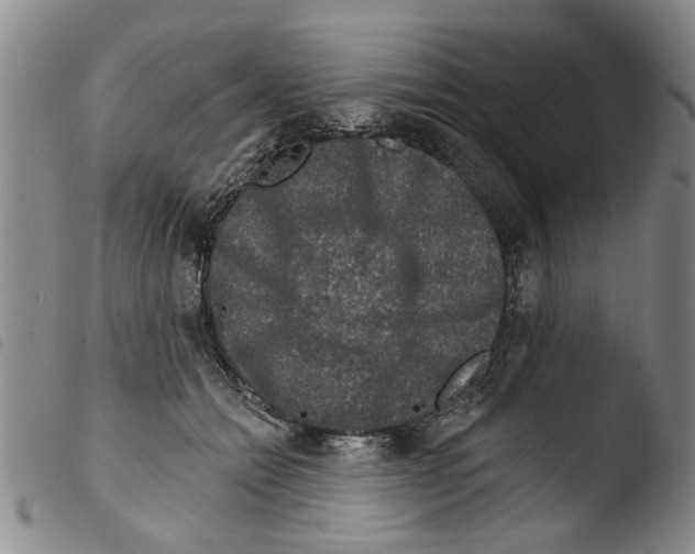 X0000103470558200810241016