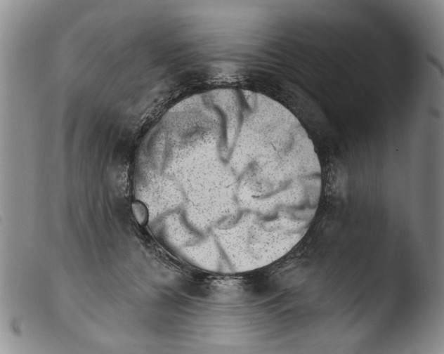 X0000103470560200810241016