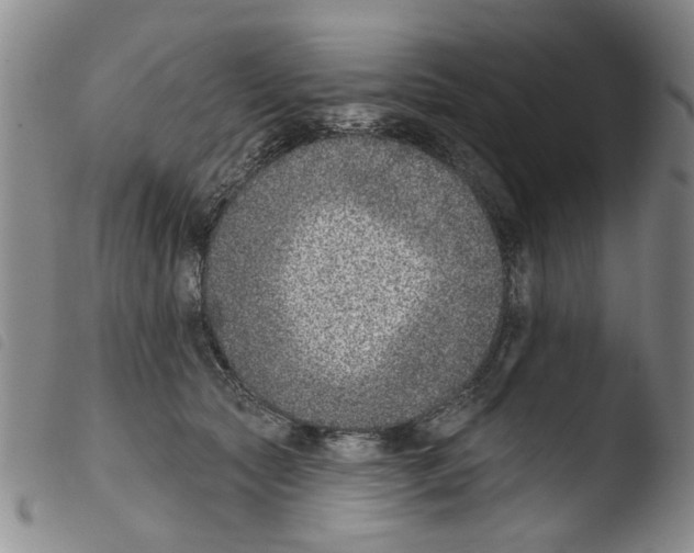 X0000103470561200810241016