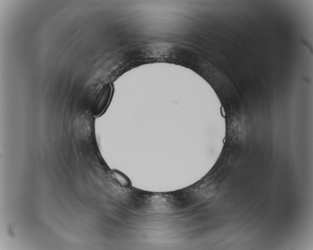 X0000103470566200810241017
