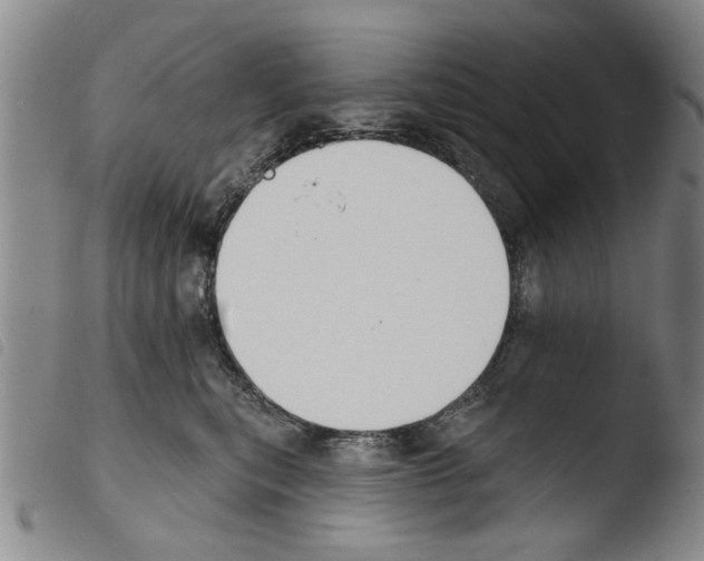 X0000103470567200810241017