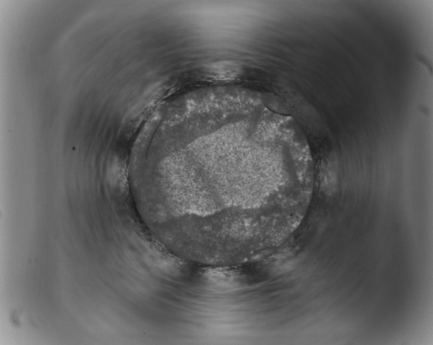 X0000103470568200810241017