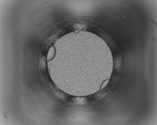 X0000103470570200810241017