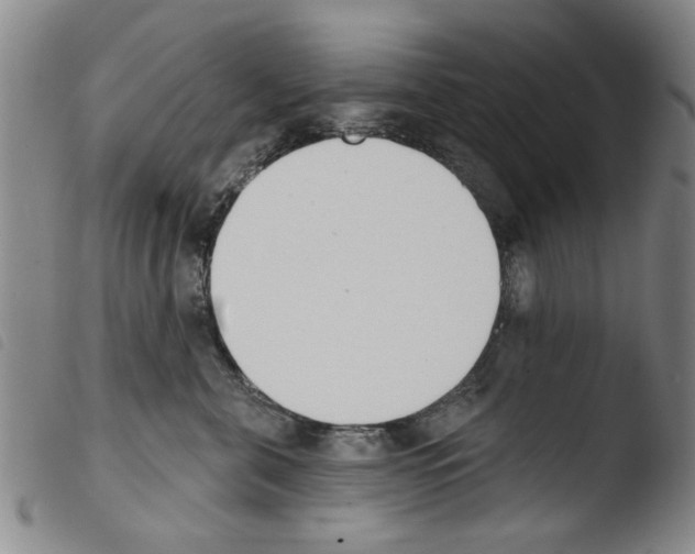 X0000103470571200810241017