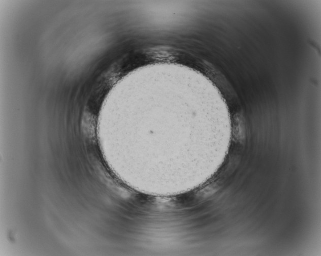 X0000103470573200810241017