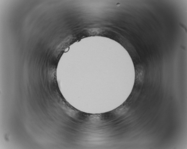 X0000103470574200810241017