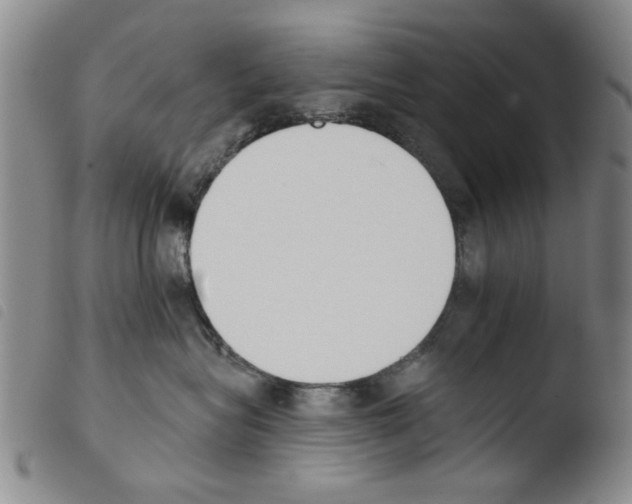 X0000103470575200810241017