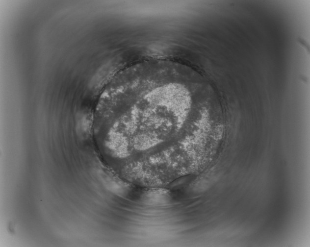 X0000103470576200810241017